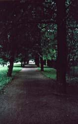 ZENIT 35F