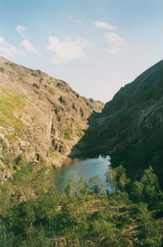 hib002.jpg