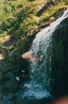 hib004.jpg