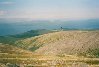 hib005.jpg