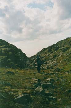 hib006.jpg