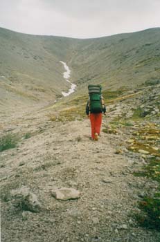 hib008.jpg