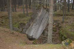 DSC_1980.jpg