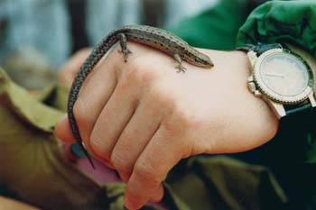 img007.jpg